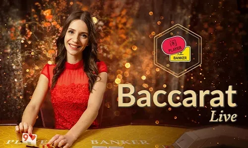 Live cockfighting betting at Sinagph Com